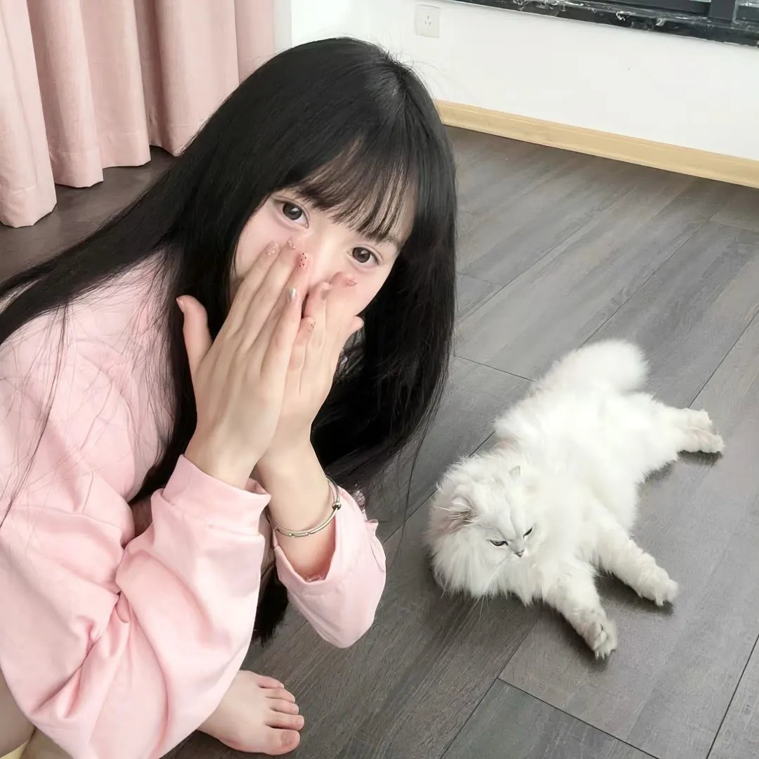 体坛秘史:网红拳手杰克·保罗